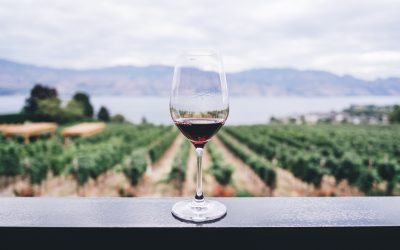 Wine and the Rules – The Rules Don’t Matter